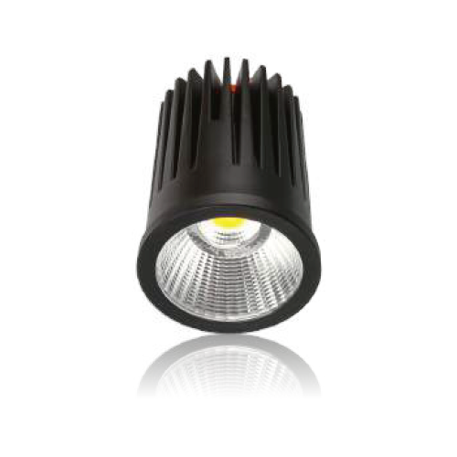 Bridgelux COB LED Module 12W